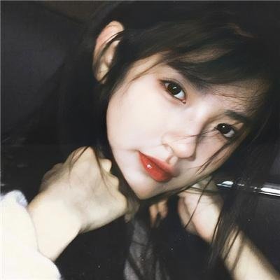 成群结伴!西顿学园